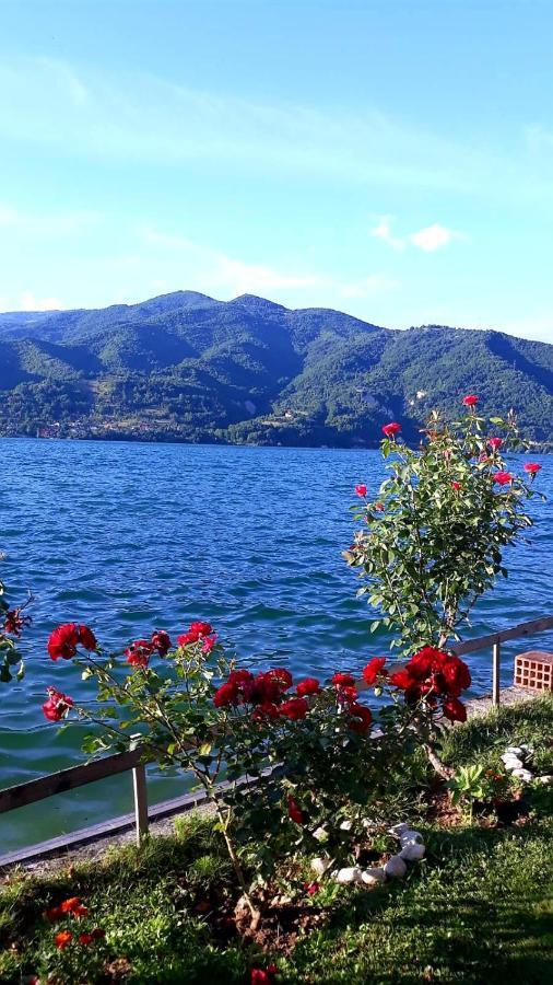 Lejla - Jablanicko Jezero * Konjic
